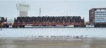 CN 48946